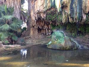 HAMMAM BOU HADJAR  (6) LA SOURCE DES EAUX THERMALES